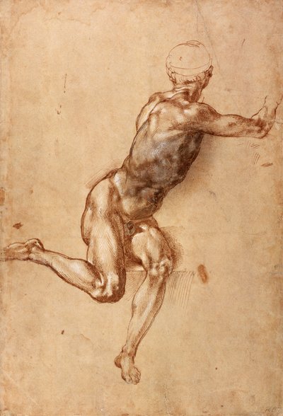 Hombre desnudo sentado girando, c.1505 de Michelangelo Buonarroti